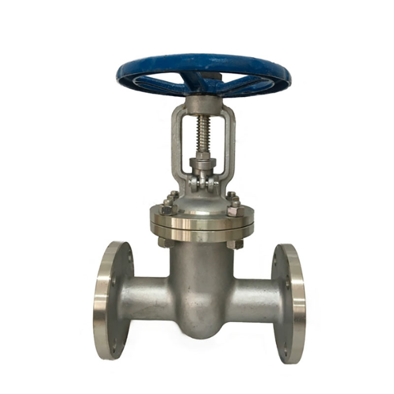 Stainless Steel Gate Valve TIX International Group